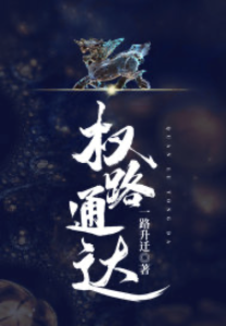 《权路通达》全集免费在线阅读无删减版(盛世开林可桑)-书格格