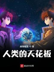人类的天花板陈业小说（陈业张红芳）全文章节免费试读-书格格