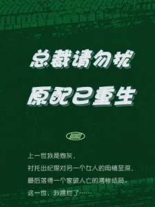 盛汐沅顾宸(重生后,炮灰原配摆烂了)小说全章节无弹窗免费阅读-书格格