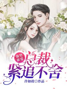 南希沈墨迟小说《强势索爱:总裁紧追不舍》全文精彩章节在线阅读-书格格