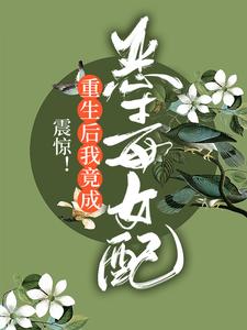 震惊！重生后我竟成恶毒女配免费阅读，震惊！重生后我竟成恶毒女配章节在线阅读