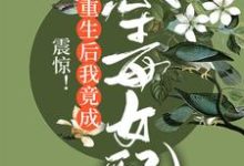 免费阅读林枝为主角的小说,震惊!重生后我竟成恶毒女配在线看-书格格
