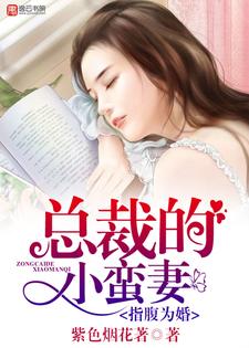 《指腹为婚，总裁的小蛮妻》小说章节列表免费试读，乐琦顾铭琛Cheryly顾小凡小说在线阅读