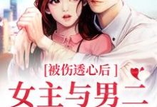 主人公冯芜傅司九小说被伤透心后，女主与男二在一起了在线章节阅读-书格格