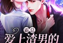 主角洛绾池砚舟小说完结版在线阅读,霸总:爱上渣男的首富哥哥免费看-书格格