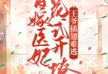 替嫁医妃花式开撩，王爷插翅难逃叶南栖萧宸泽小说在线章节目录阅读最新章节-书格格