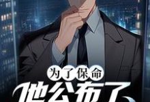 叶城为主角的小说好看吗?求为了保命,他公布了可控核聚变免费试读-书格格