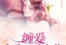 《缠爱:今生,要定你》小说主角孟聿川舒渺章节章节免费在线阅读-书格格