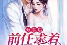 已完结小说《分手后,前任求着我复合》在线章节阅读-书格格
