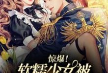 司听瑜陆祈川为主角的小说叫什么?免费看惊爆!软糯少女被病娇霸总独占了-书格格