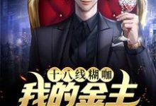 十八线糊咖:我的金主是我小后妈小说,十八线糊咖:我的金主是我小后妈免费阅读-书格格