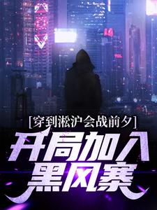 在线寻找杨成的小说，穿到淞沪会战前夕，开局加入黑风寨免费阅读