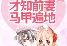 想读 唐星挽傅寒深的故事,哪里可以免费找到离婚后,才知前妻马甲遍地?-书格格