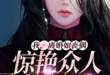 我,离婚如丧偶,惊艳众人过新人生桑知语沈辞小说在线章节免费阅读-书格格