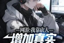 陆峰为主角的小说好看吗?求网游:我靠砍人增加真实伤害无敌了免费试读-书格格