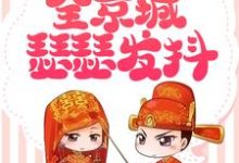 夏芝芝夏至为主角的小说极品女配发飙后,全京城瑟瑟发抖在线阅读-书格格