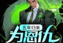五年归来,为恩仇快意都市小说有没有完结版在线?-书格格