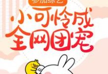 参加综艺:小可怜成全网团宠顾萌萌夏天在线章节免费阅读-书格格