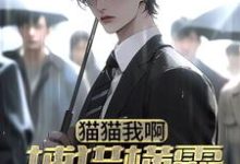 猫猫我啊,捕猎横霸都市了林凡李诗诗,猫猫我啊,捕猎横霸都市了最新章节-书格格