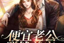 姜栀宿聿小说在线章节免费阅读（便宜老公赚钱养家，我貌美如花无弹窗无删减）-书格格