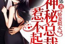 主人公叫唐宁霍瑾寒牧逸的小说哪里免费看-书格格