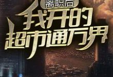 离职后，我开的超市通万界最新章节，离职后，我开的超市通万界章节在线阅读-书格格
