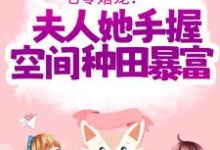 七零婚宠!夫人她手握空间种田暴富主角傅晓沈轻舟小说完结版章节在线阅读-书格格