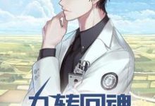 在线搜索 林霄白诗韵的完整小说,免费阅读神医:九转回魂,一针定生死-书格格