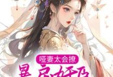 哑妻太会撩,暴戾奸臣夜夜轻哄小说全文阅读需要付费吗?寻找免费资源-书格格
