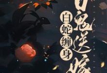 《白蛇缠身,百鬼送嫁》小说主角聂灵常天卿章节章节免费在线阅读-书格格