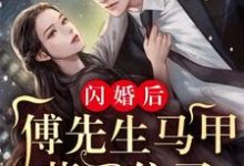 闪婚后:傅先生马甲藏不住了小说,闪婚后:傅先生马甲藏不住了最新章节-书格格