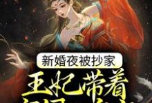 新婚夜被抄家,王妃带着空间入皇宫最新章节,新婚夜被抄家,王妃带着空间入皇宫免费阅读-书格格