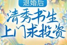 退婚后,清秀书生上门求投资小说的无弹窗阅读体验,寻找免费阅读网站-书格格