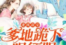 免费看龙凤双宝:爹地跪下唱征服小说的网站有哪些?-书格格