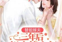 替姐嫁夫,三年后姐夫找上门主角 夏暖心陆胤承小说完结版章节在线阅读-书格格