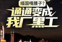 缅国嘎腰子?通通变成我厂黑工!周木,缅国嘎腰子?通通变成我厂黑工!章节在线阅读-书格格