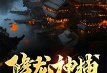 降龙神捕小说的无弹窗阅读体验，寻找免费阅读网站-书格格