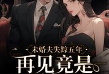 主角叫沈观南孟念一的小说在哪阅读-书格格