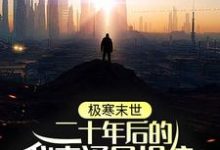 极寒末世:二十年后的我来通风报信林逸小说在线章节免费阅读-书格格