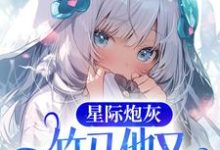 在线寻找星际炮灰:竹马他又正经又撩人小说的无删减版本-书格格