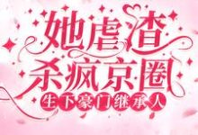 在线寻找生下豪门继承人！她虐渣杀疯京圈小说的无删减版本-书格格