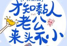 闪婚后，才知黏人老公来头不小小说无弹窗阅读的网站推荐-书格格