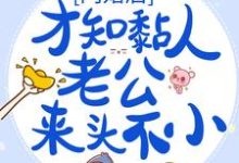 海彤战胤的小说在哪里看?免费在线阅读闪婚后,才知黏人老公来头不小-书格格