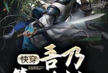 已完结小说《玄幻:吾乃第一剑仙,师承低级武者》章节免费阅读-书格格