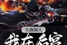 李倓为主角的小说好看吗?求大唐闲人:我在后宫吃软饭免费试读-书格格