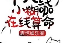 十八线小糊咖在线算命,震惊娱乐圈柯雪小说大结局免费试读-书格格