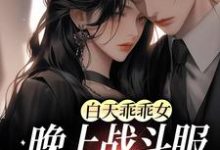 白天乖乖女,晚上战斗服第一杀手小说完结了吗?在哪里可以免费读到?-书格格