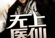 无上医仙小说最新更新在哪里?免费在线看-书格格