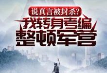 说真言被封杀?我转身考编整顿军营沈赫,说真言被封杀?我转身考编整顿军营小说免费阅读-书格格