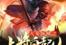 大秦纵横之上将白起这本小说完结了吗?免费查看最新章节-书格格